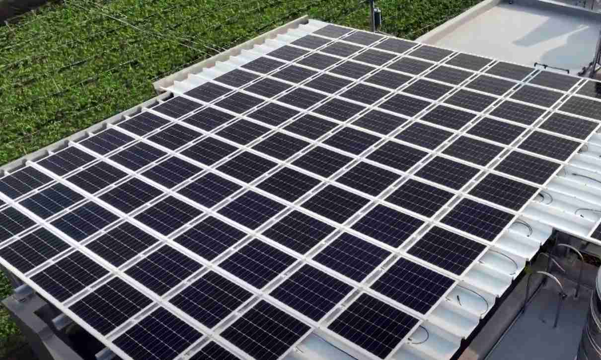 尊龙z6SunSteel光电浪板升级双玻结构，，，以提升机械负载强度及气候耐候度，，，，可广泛运用于多元场域